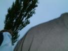 DSCF0147.JPG
